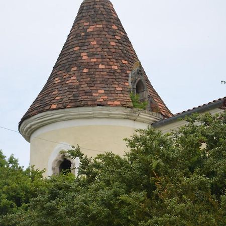 Chambres D'Hotes Du Chateau De Saint Sulpice La Sauvetat-sur-Lede Экстерьер фото